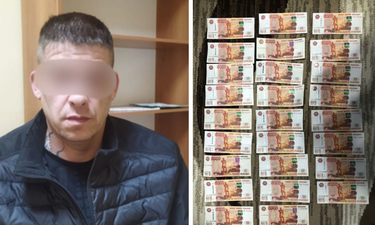 Проводник заметил щедрого пассажира и украл у него два миллиона рублей