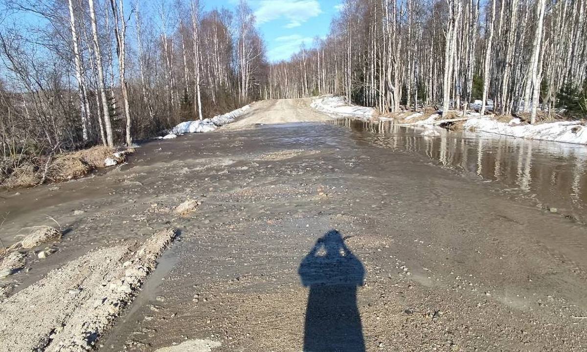 Дорогу в Карелии, которую регулярно размывает, не собираются ремонтировать