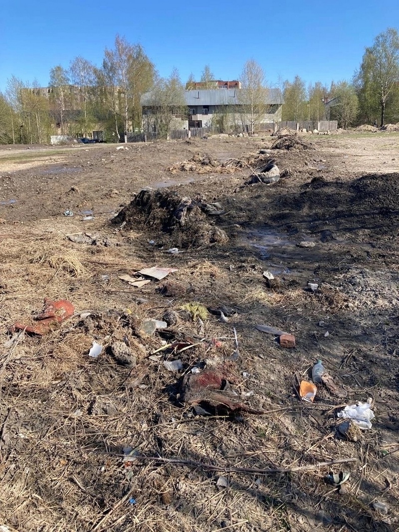 В Петрозаводске после уборки снега еще один сквер превратился в свалку