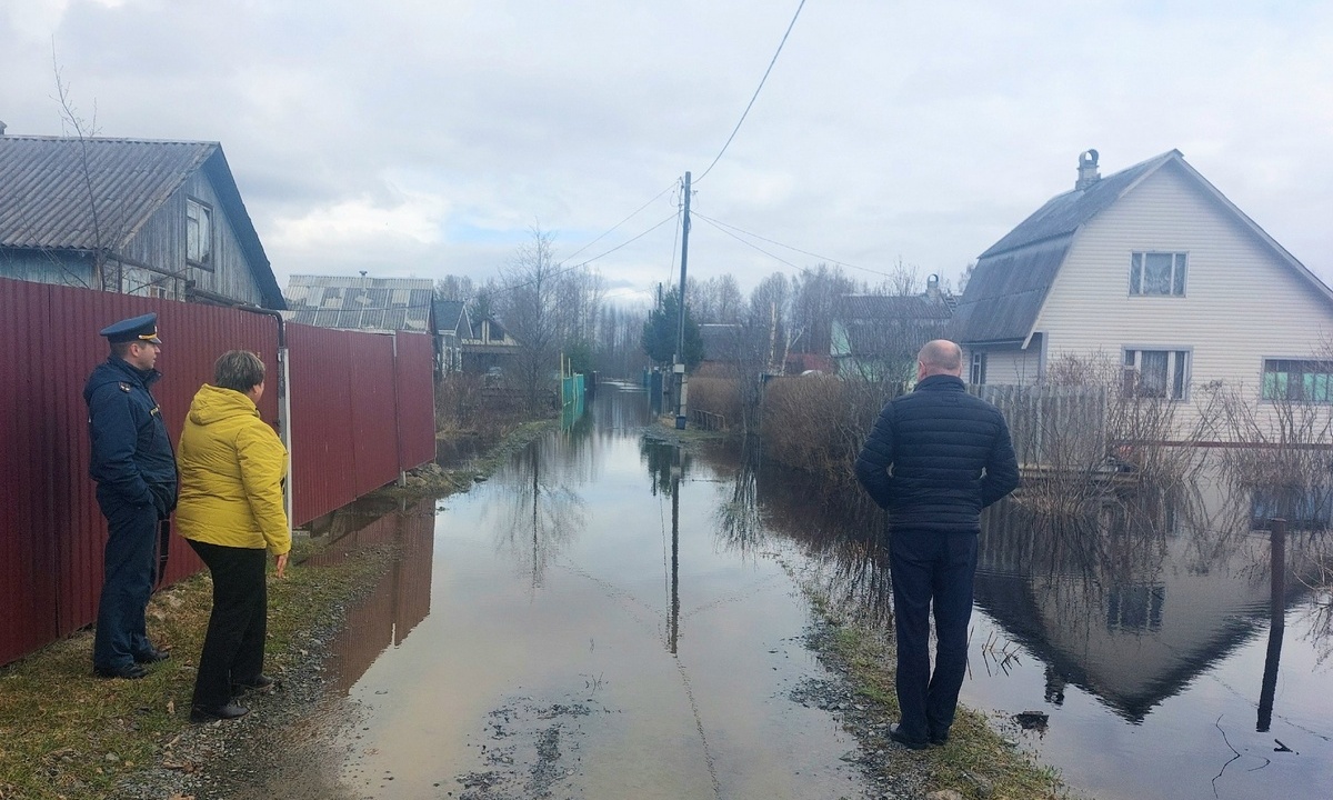 Власти  и МЧС выехали в затопленный дачный поселок под Петрозаводском