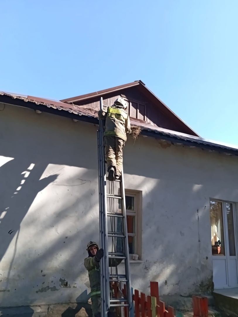 В Петрозаводске пожарные спасли от чаек детский сад