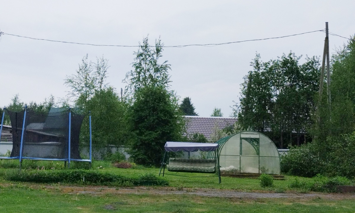 Даже не приехали». После ливня деревня в Карелии больше суток сидит без  электричества | 03.06.2024 | Новости Петрозаводска - БезФормата