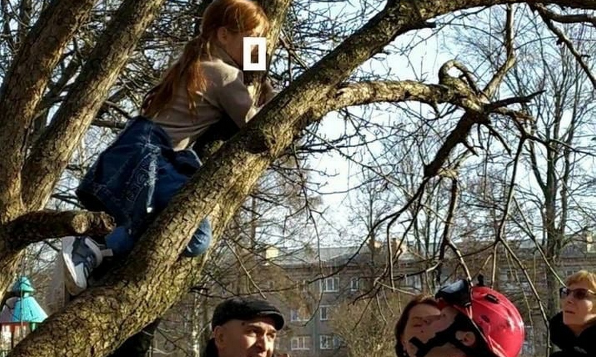 В Карелии девочка застряла в дереве