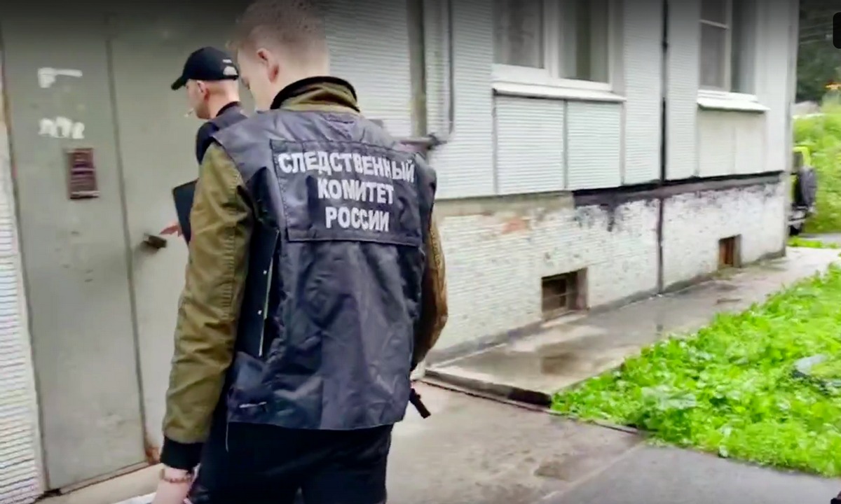 В деревне под Петрозаводском зарезали женщину: подозреваемый задержан