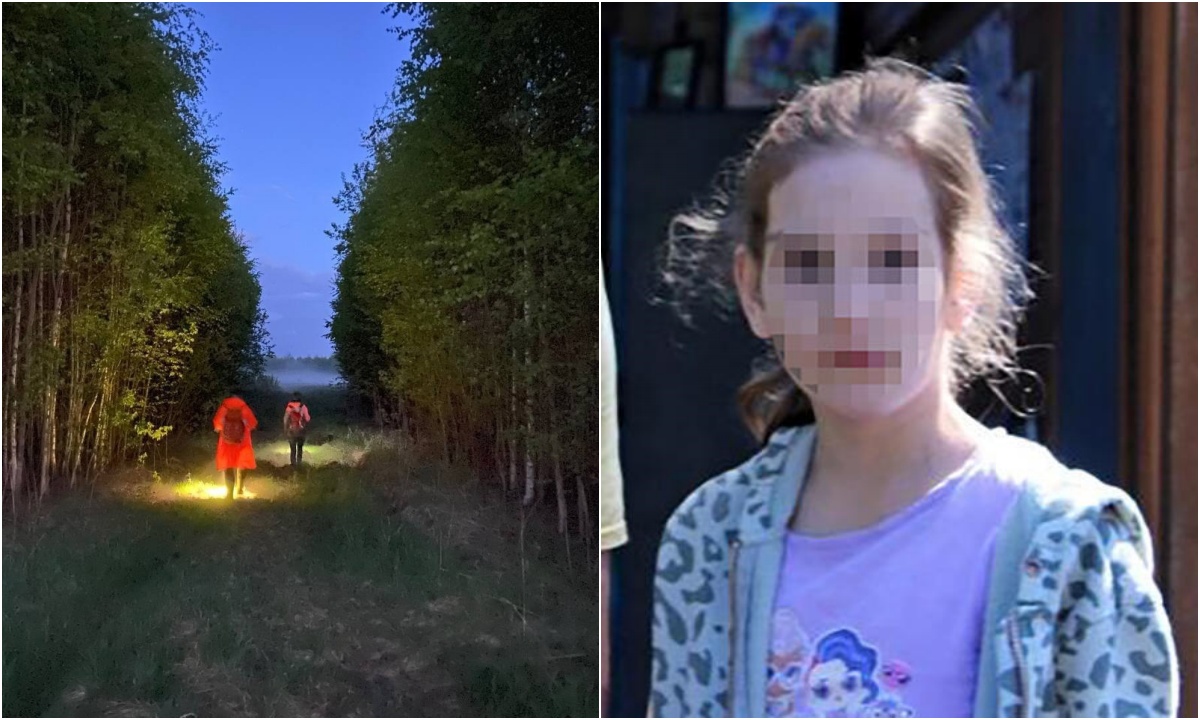 Девочка пошла с мамой в лес за ягодами, потерялась и погибла