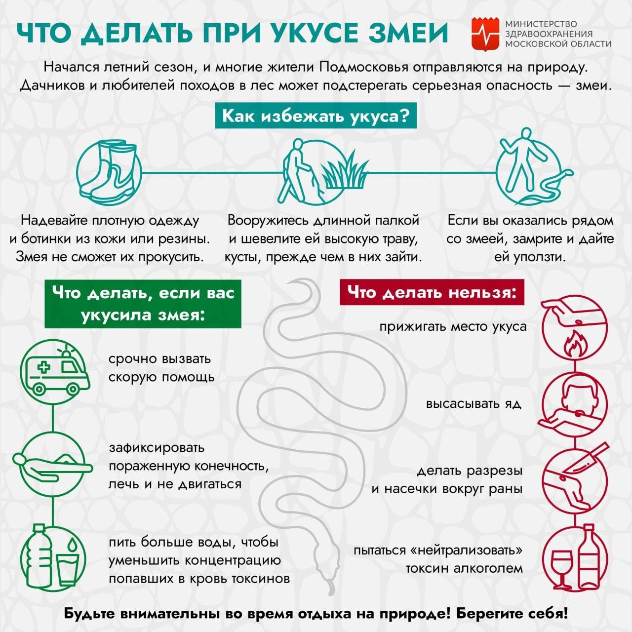 Что делать после кп. Меры первой помощи при укусе ядовитой змеи:. Памятка действия при укусе змеи. Чтоделатт при укусе змеи. Первая поиощь приукусе гадюкти.