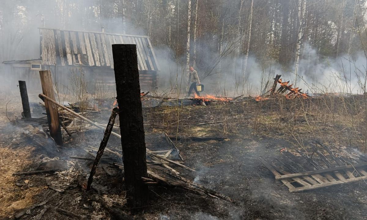 В Карелии жилой дом чуть не сгорел из-за травы: пожарные ехали час