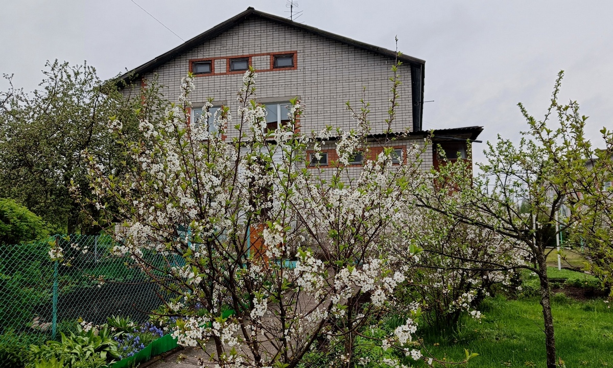 петрозаводск ростелеком винк wink