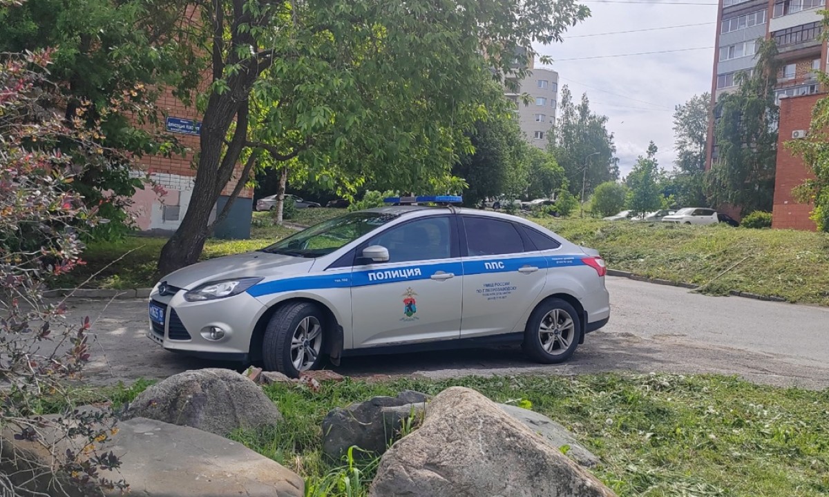 полиция policia policiya