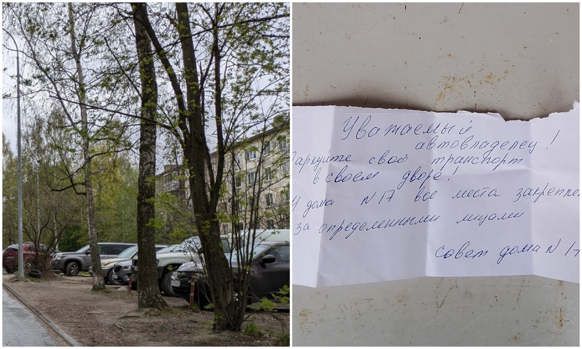 Фото: «Проблемы Пудожского района. 16+» / Губернiя Daily / иллюстративное