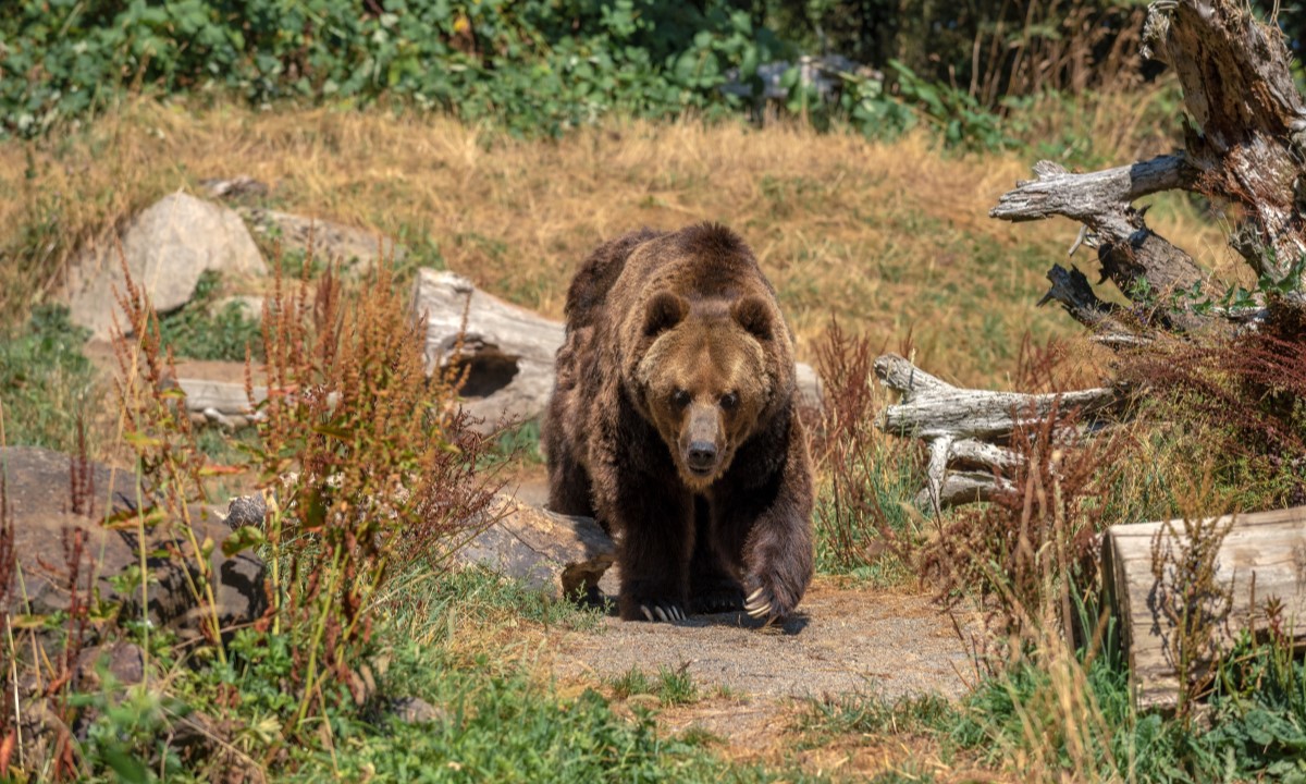 Фото: Freepik / иллюстративное