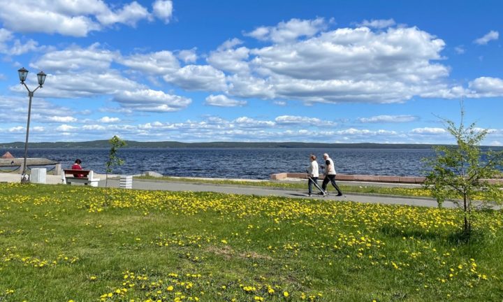 skandinavskaya
