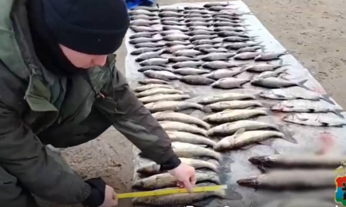 Житель Карелии стал преступником, пытаясь удивить жену