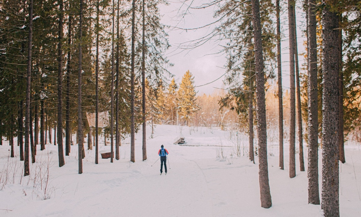 В мэрии Петрозаводска пояснили, что будут строить на Кургане
