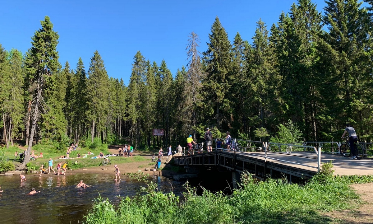 В Петрозаводске весь Курган хотят отдать под застройку? Горожан призывают проголосовать против