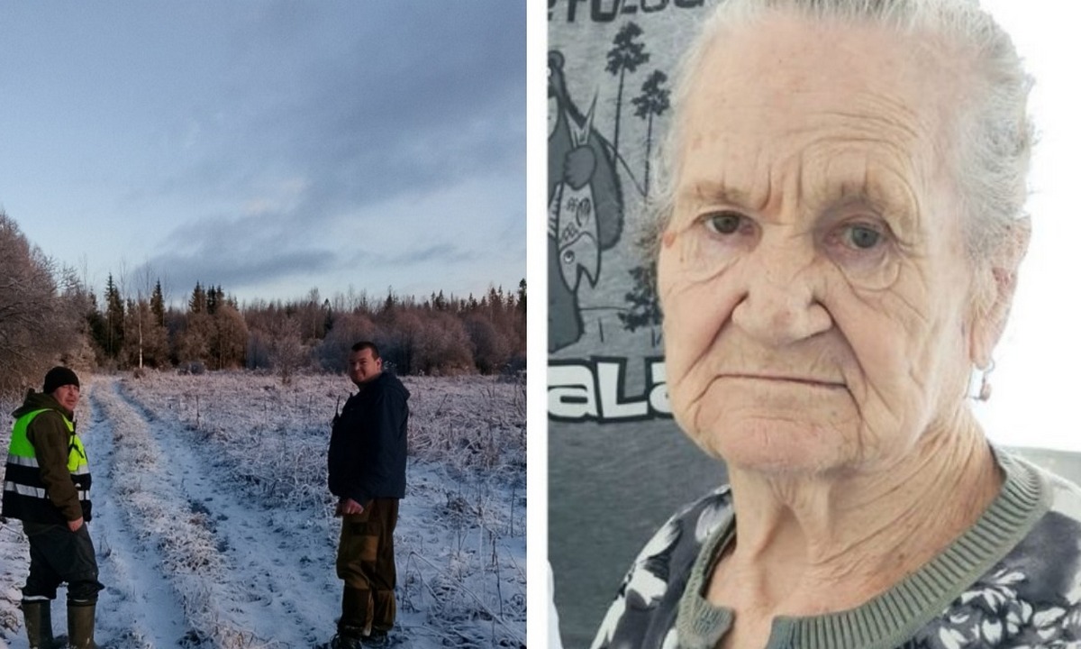 «Одно из самых тяжелых решений». В Карелии свернули полевой поиск 85-летней пенсионерки