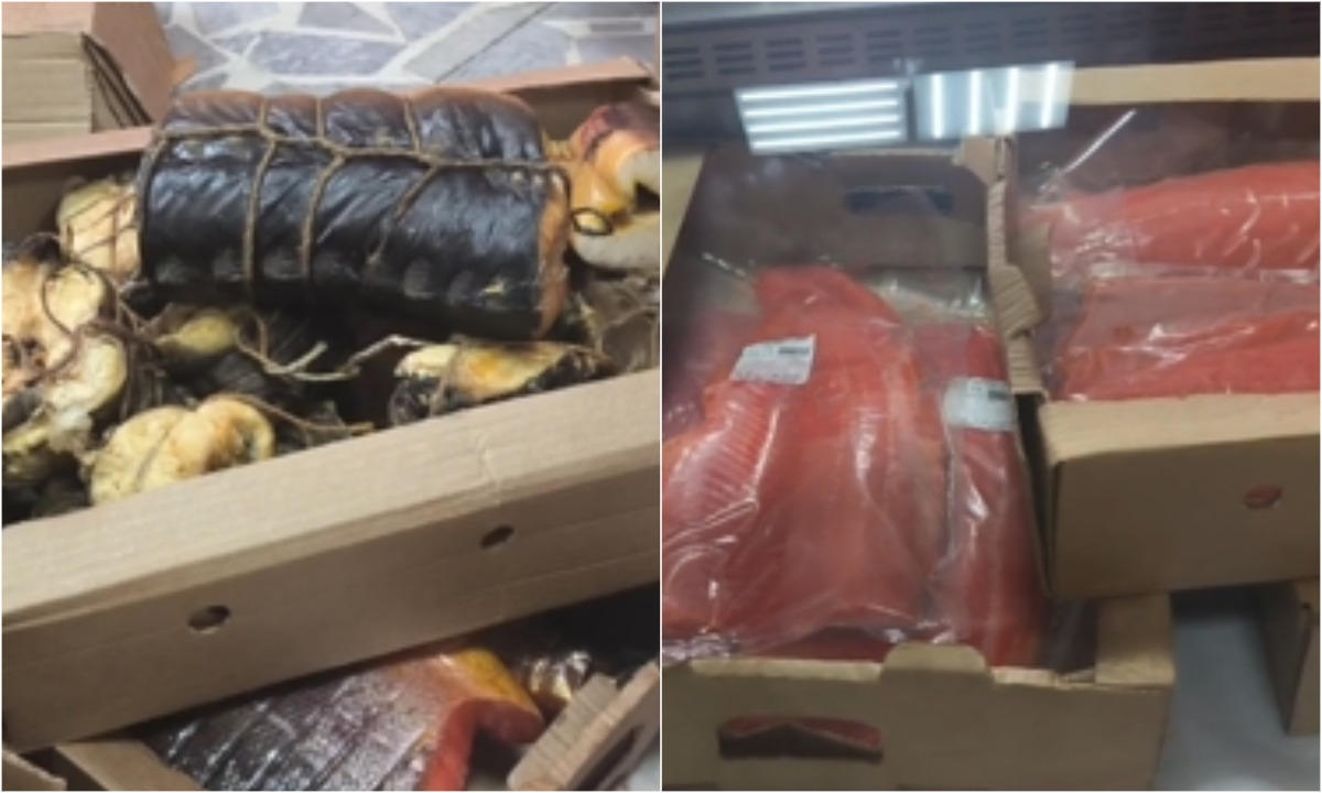 В Петрозаводске изъяли 335 килограммов опасной рыбы