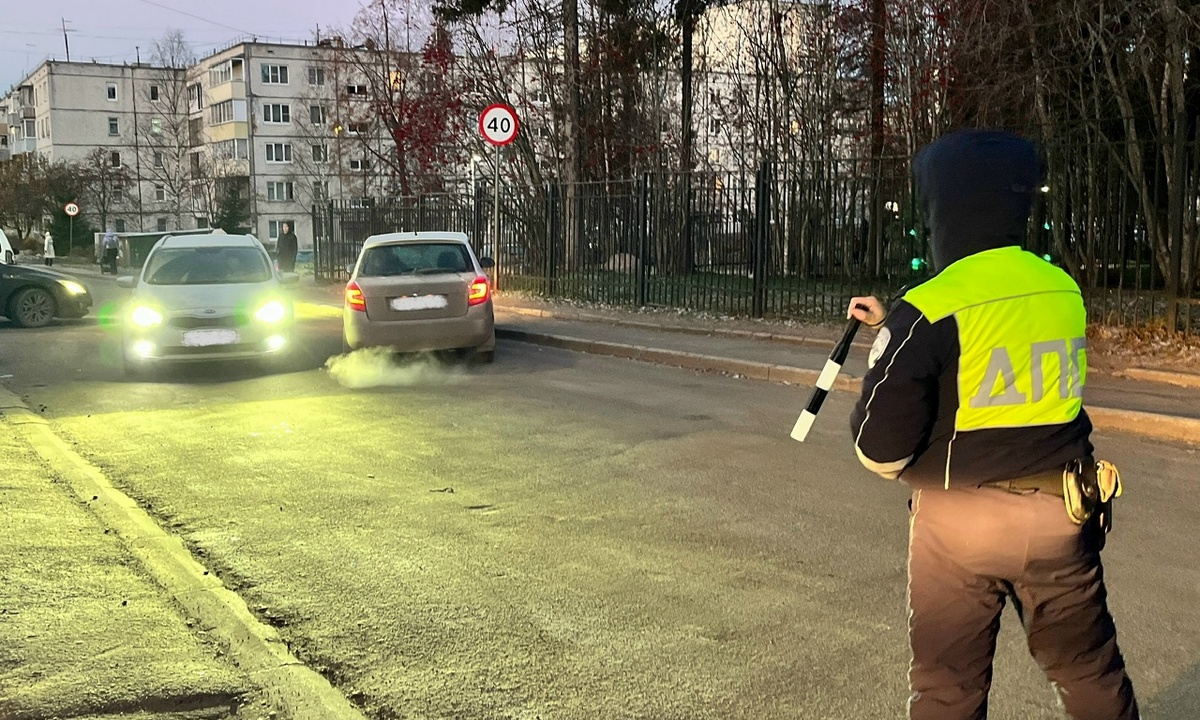 Массовые проверки пройдут в Петрозаводске