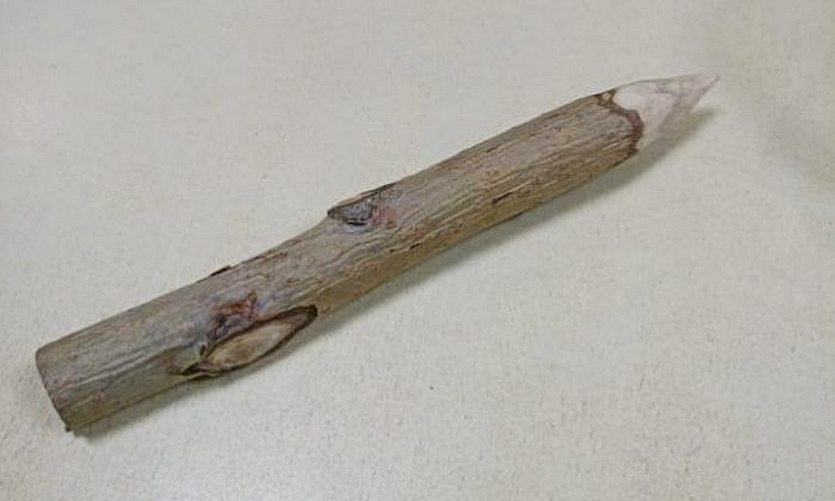 Россиянка пришла в суд с осиновым колом