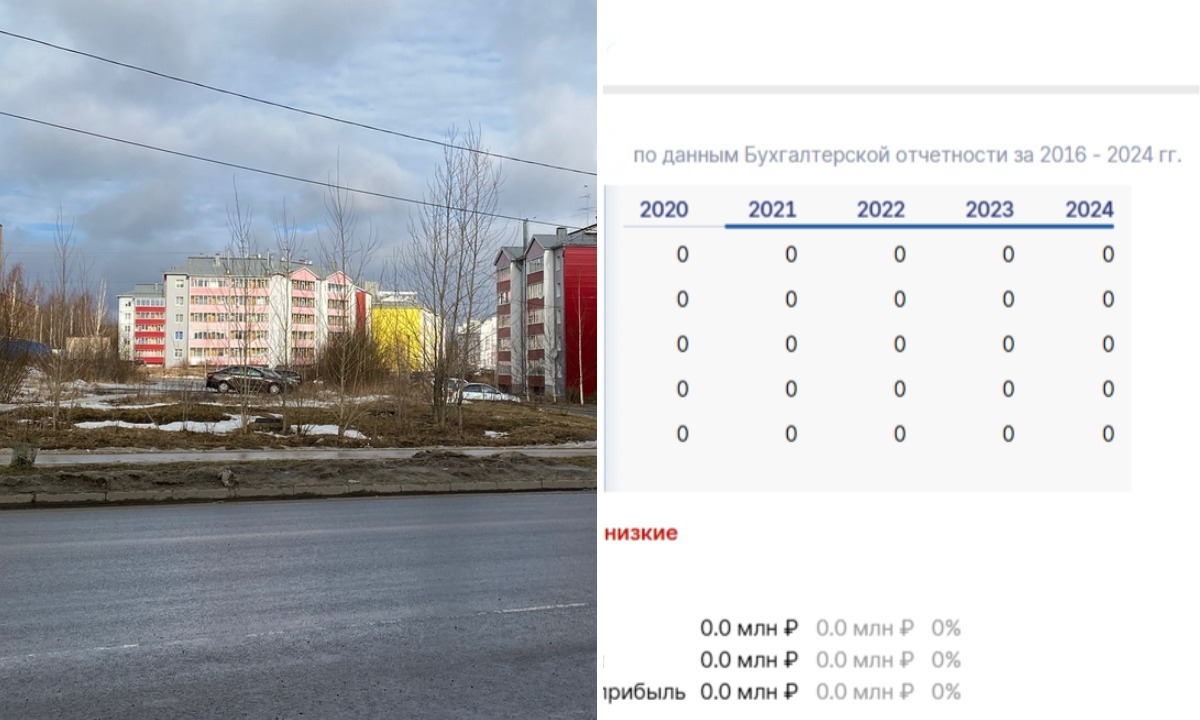 В Петрозаводске застолбили землю под спортивный объект: инвестор не выглядит надежным