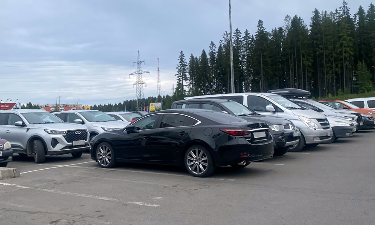 Жителя Карелии обманули, предложив дешевую машину из Европы