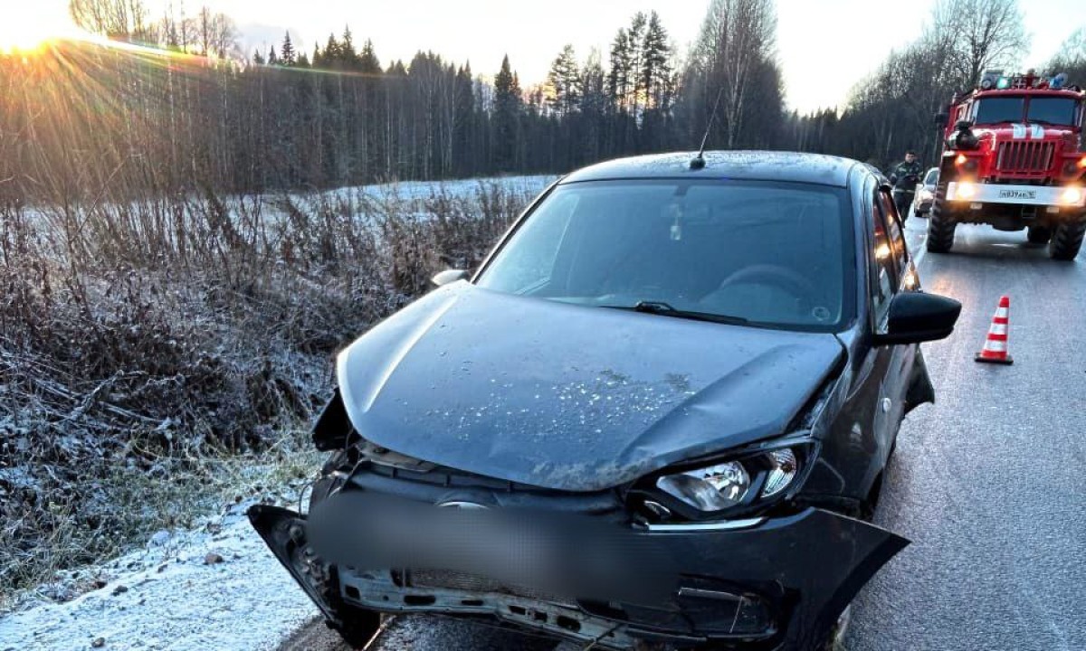 В Карелии автомобиль улетел в кювет из-за гололеда