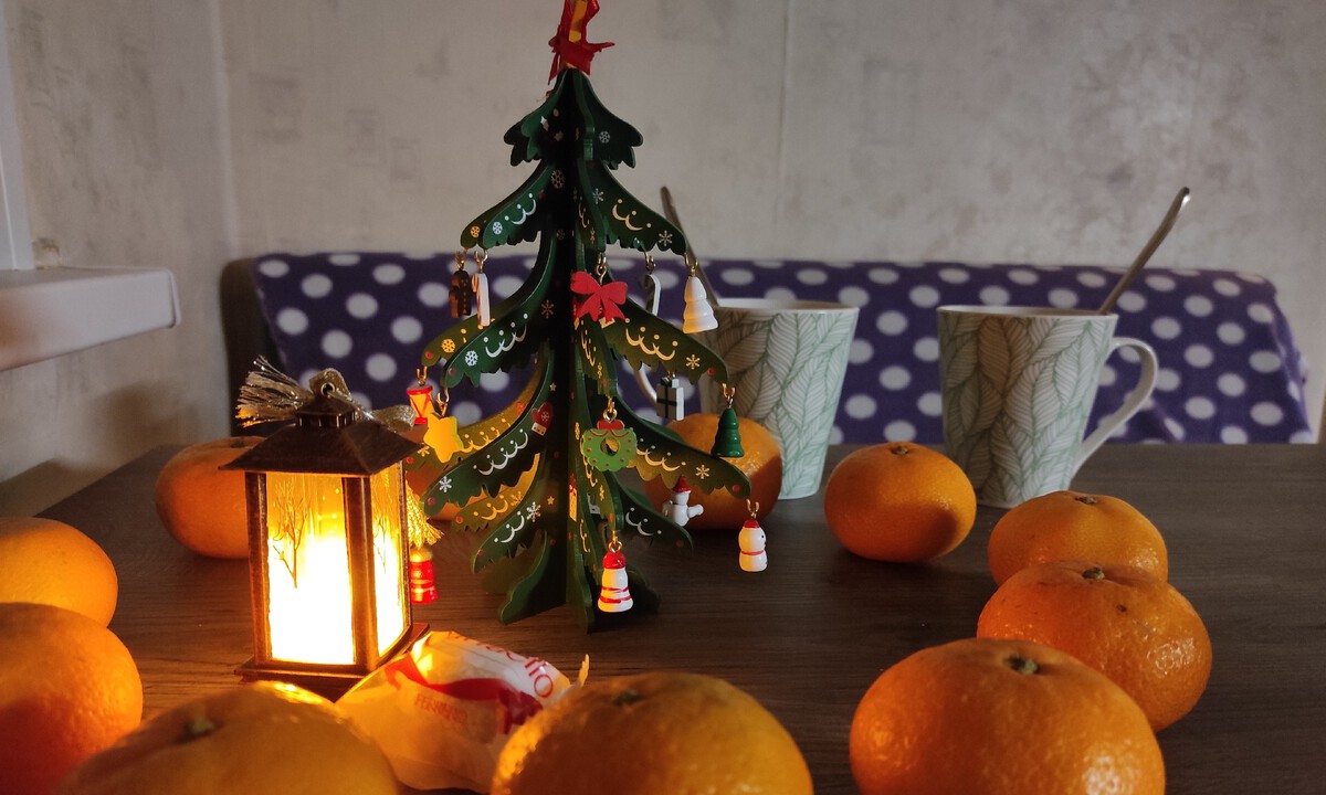 Россиян предупредили о новогодней схеме мошенников