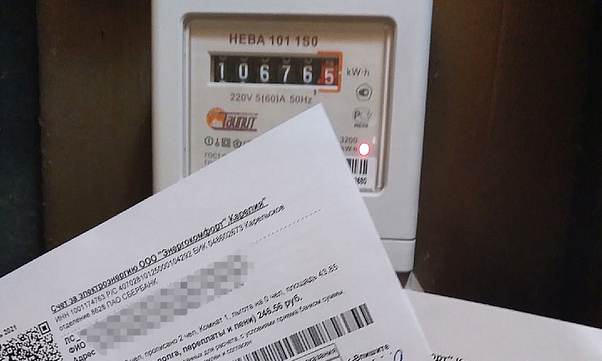 Названо, кто может получить льготы на оплату электричества в Карелии