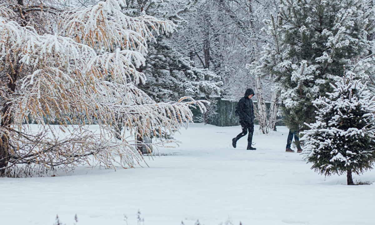 В Карелии будут судить 15-летнего парня, которого не простил отчим