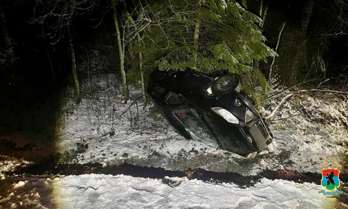 Стало известно, как машина с двумя детьми опрокинулась на крышу в Карелии