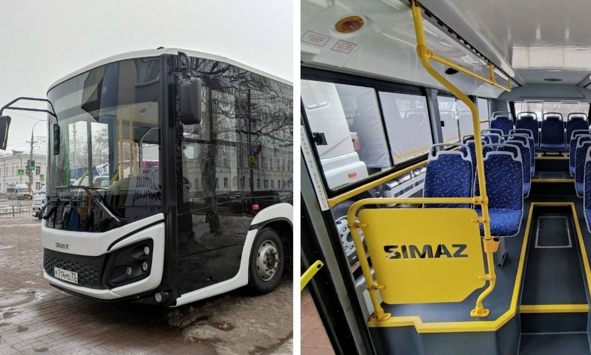 В Петрозаводск поступят 10 новых черных автобусов