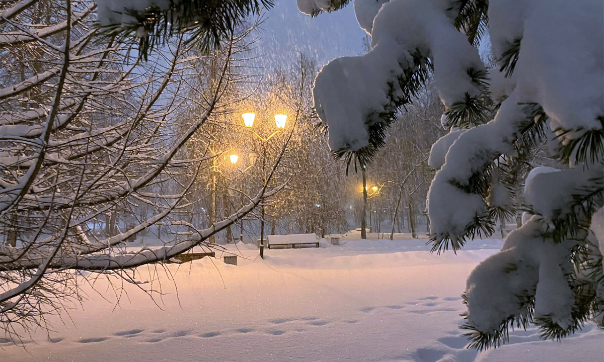 Названы регионы, куда придут лютые морозы