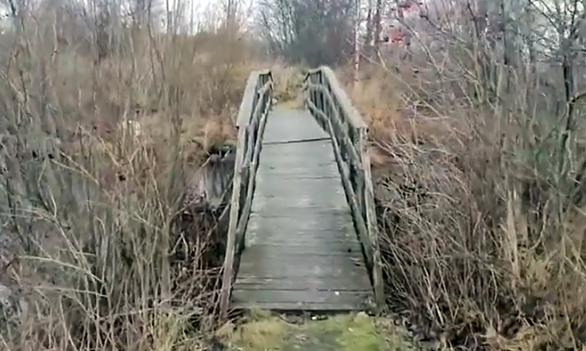 Глава Следкома России заинтересовался еще одним опасным мостом в Карелии