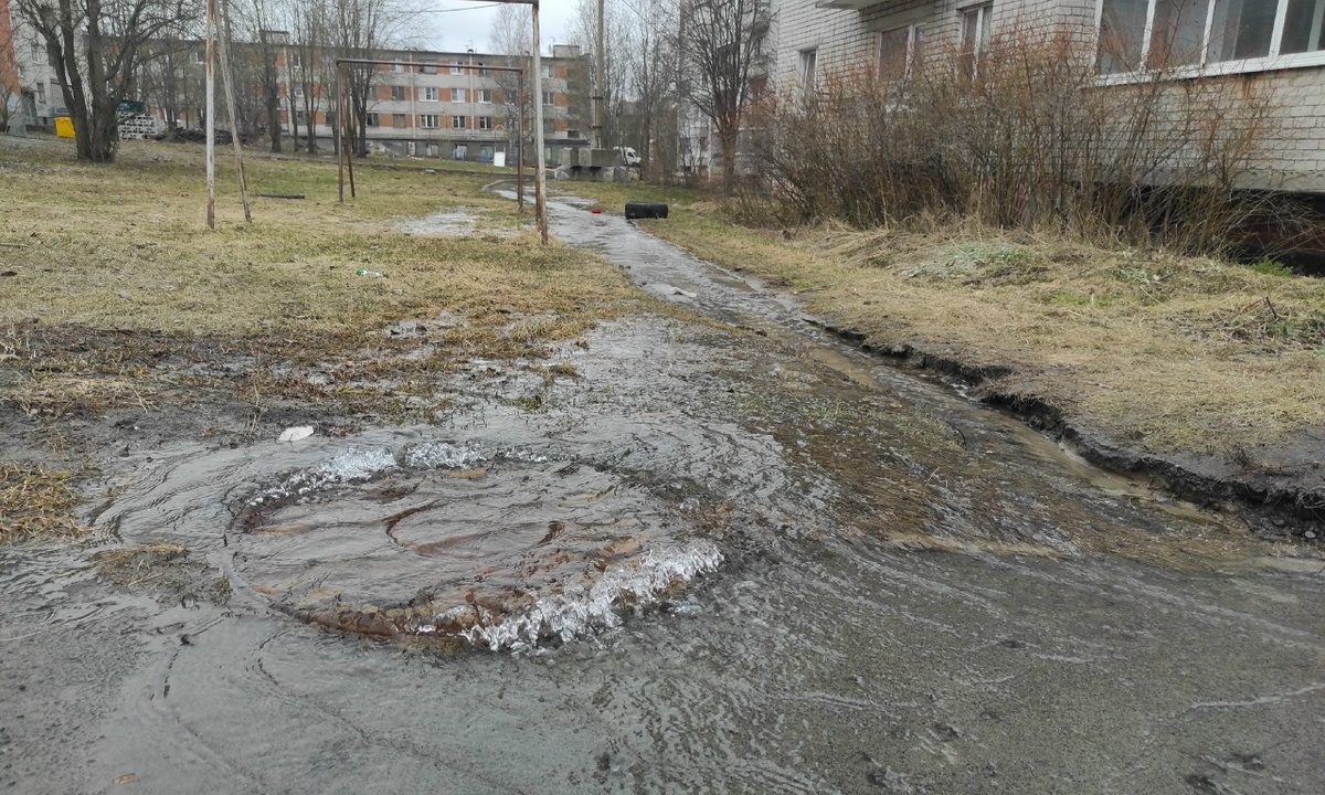 В Петрозаводске построят завод по розливу минеральной воды