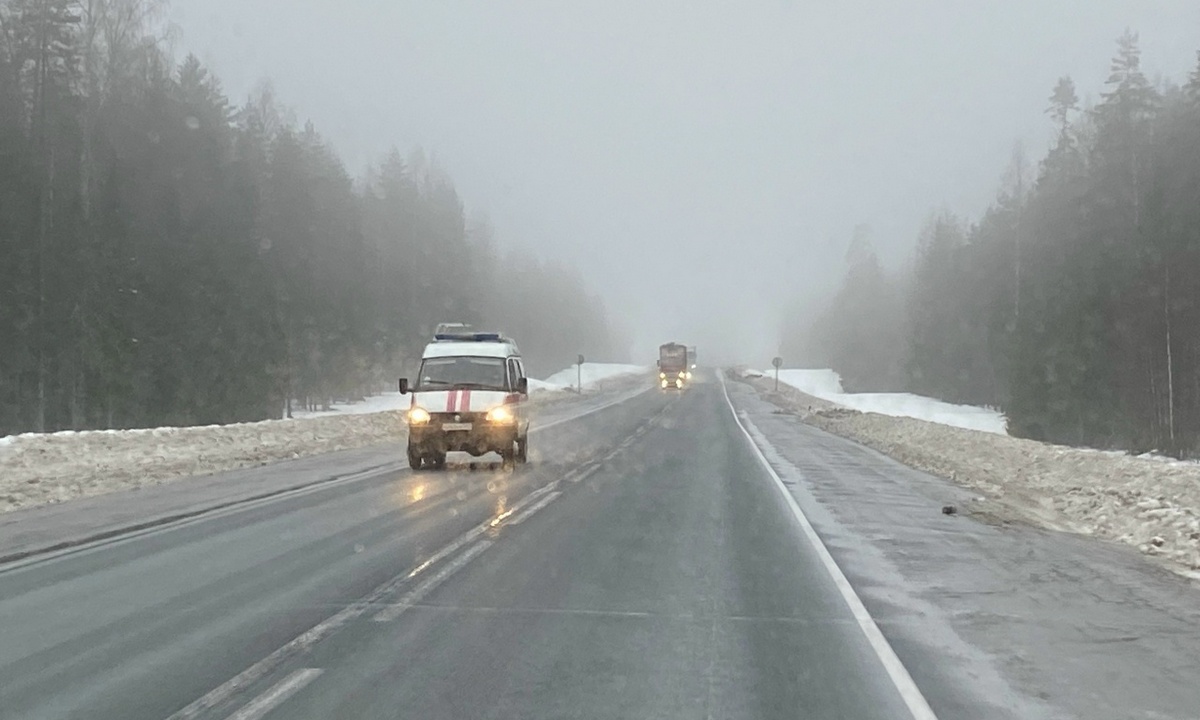 В Карелии истекающего кровью мужчину везли 100 километров до больницы
