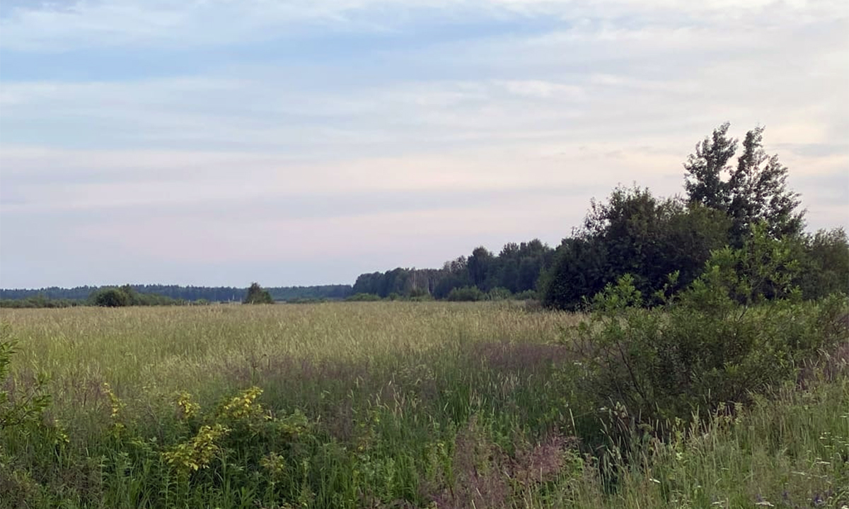 Жителя Карелии осудили за мошенничество с землей