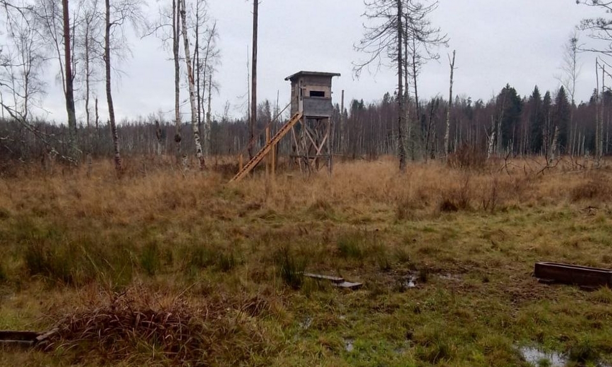 Охотник застрелил человека, приняв его за птицу