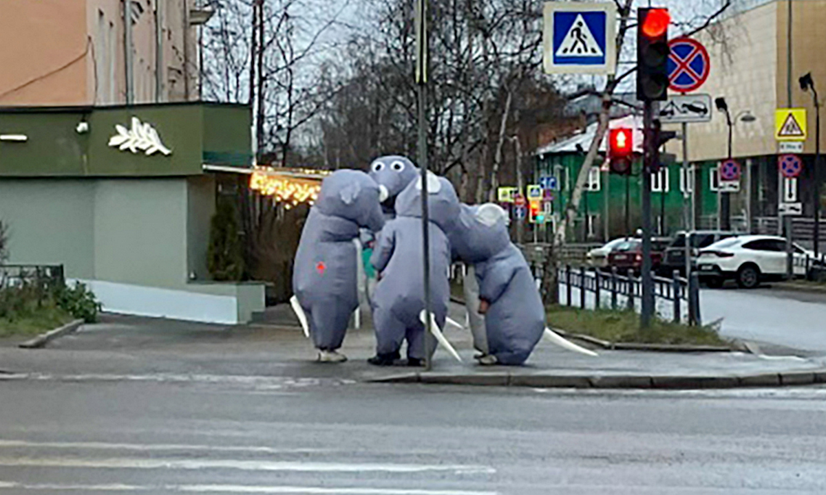 Полиция Петрозаводска требует объяснений от «крыс» — участников минутной акции против грызунов