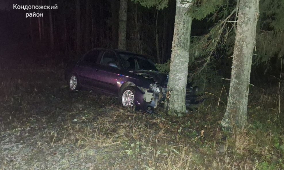 В Карелии молодой водитель уснул за рулем и врезался в дерево