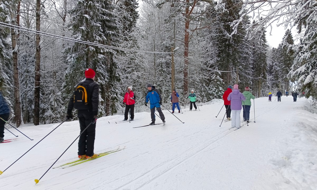 Россиян предупредили о фейковых сайтах с зимними развлечениями