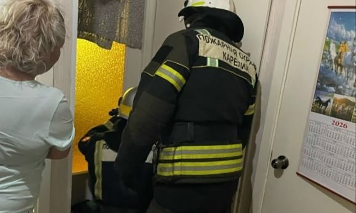 В Карелии спасатели вызволили ребенка, который заперся на кухне