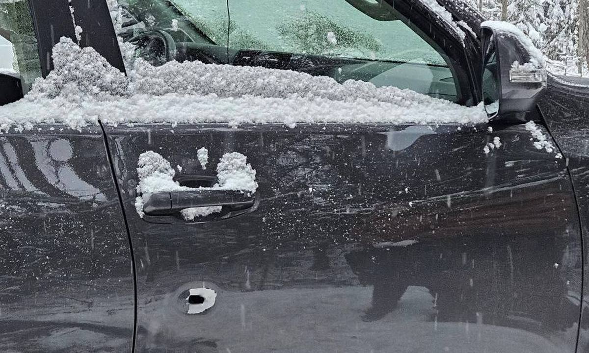 Охотник выстрелил в машину, которую принял за лося: погиб пассажир