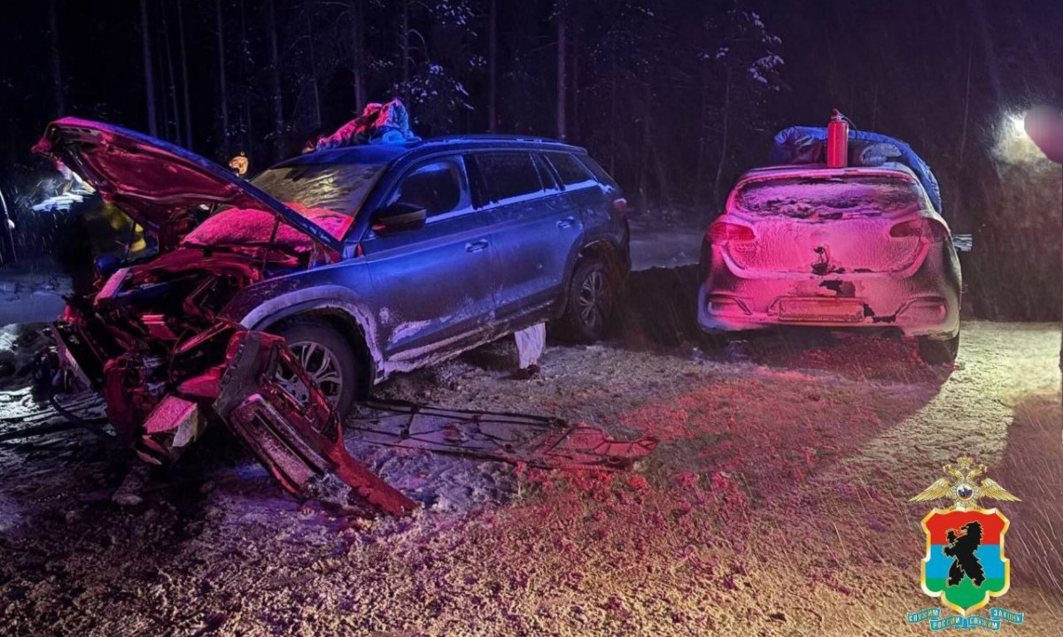 Стали известны подробности ДТП с девятью пострадавшими в Карелии