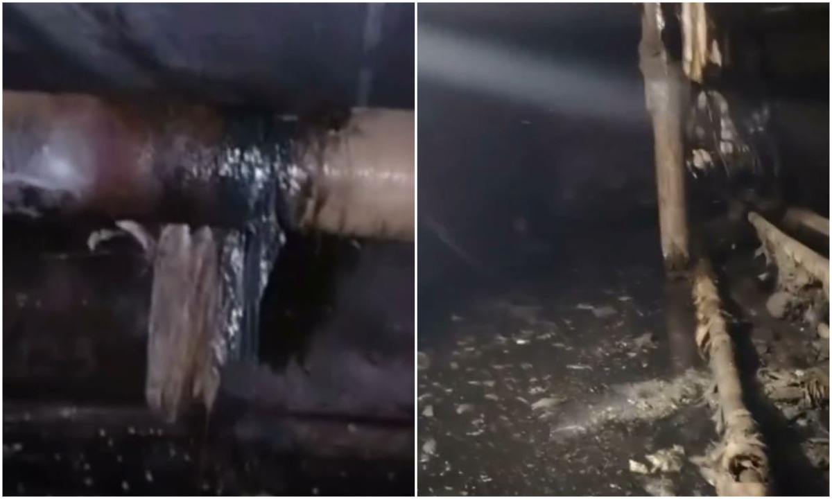 «Запах душераздирающий». В Карелии 160 человек бросили в ужасном доме