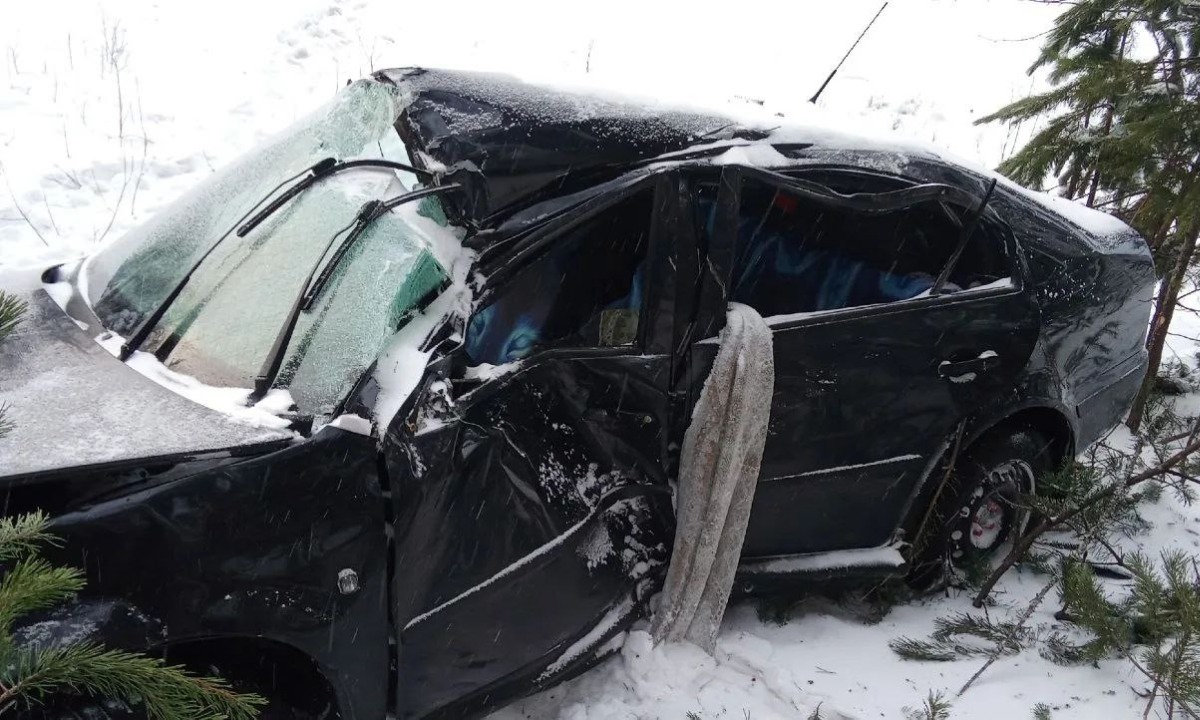 В Карелии женщина на «Шкоде» врезалась в дерево