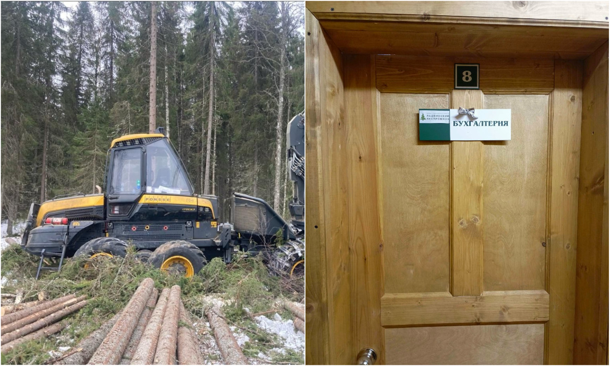 «В 90-е годы возвращаемся». В Карелии работникам предприятия уже четыре месяца не платят зарплату