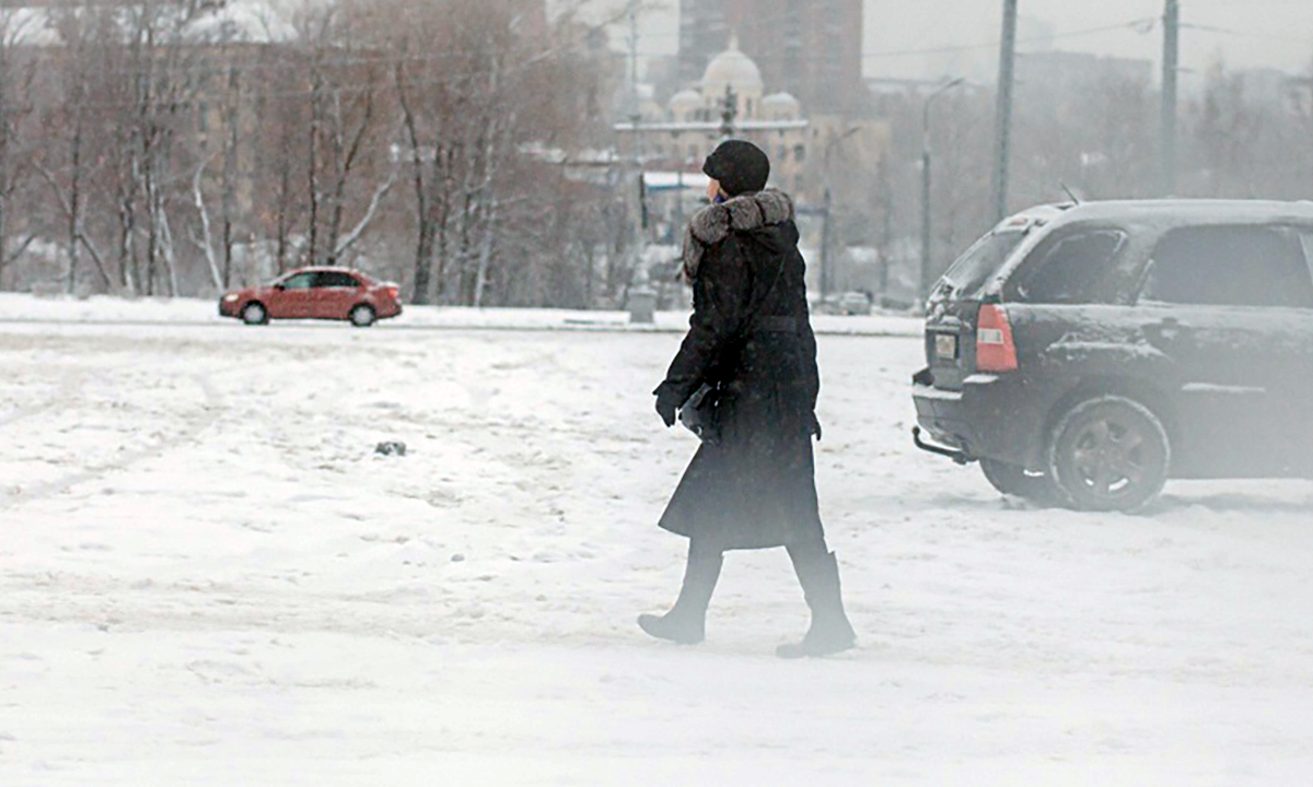 В Карелии мать четверых детей принудительно отправили на лечение