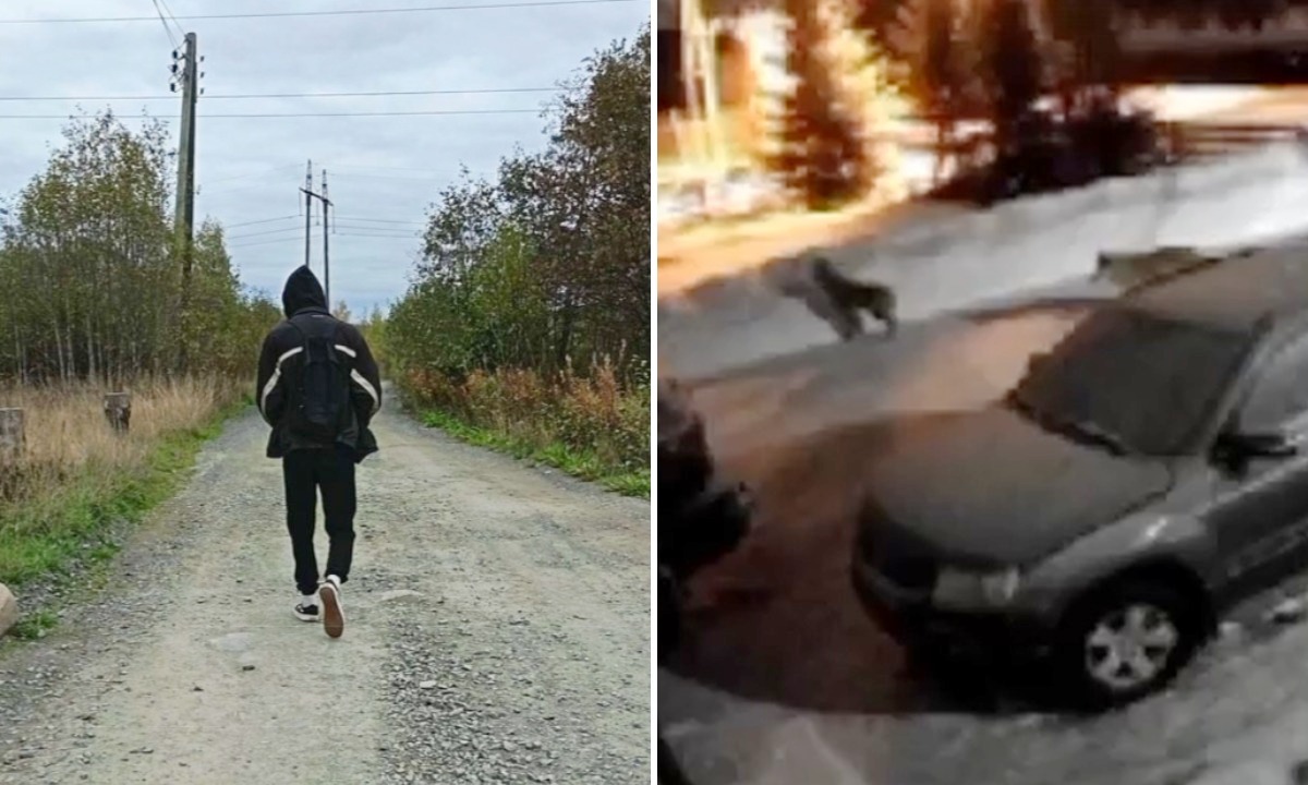 В Карелии ребенка, ходившего на учебу пешком, будет подвозить сотрудник школы