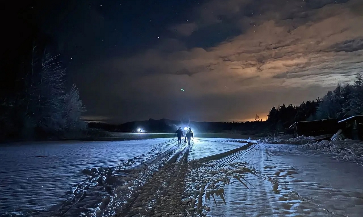 В Карелии молодой мужчина чуть не замерз в лесу