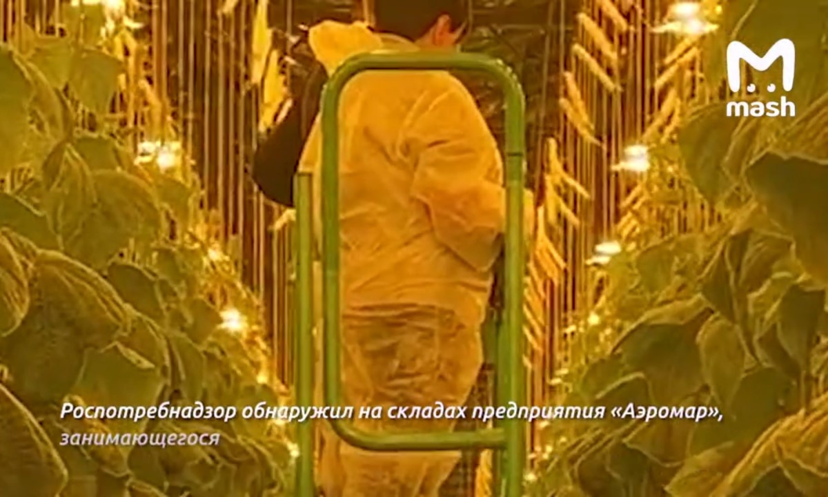 В сухпайках для пассажиров нашли смертельно опасный продукт